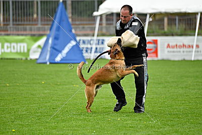 Waran vom Further Moor