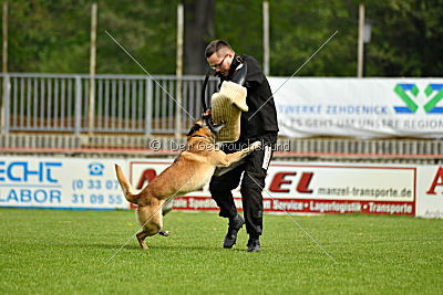 Wasco vom strengen Winter