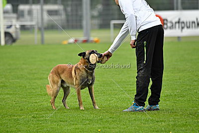 Wasco vom strengen Winter