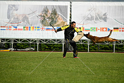 Way Out West Napoleon Bonaparte