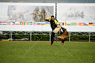 Way Out West Napoleon Bonaparte