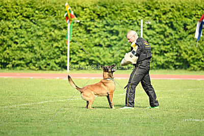 Way Out West Napoleon Bonaparte