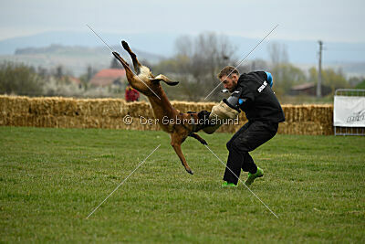 Way Out West Napoléon Banaparte