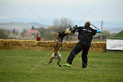 Way Out West Napoléon Banaparte