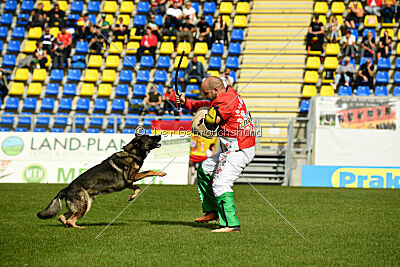 Wesco van Hamersslag