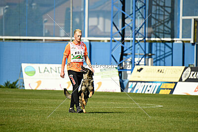 Wesco van Hamersslag