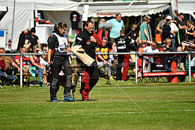 Wespe vom Further Moor