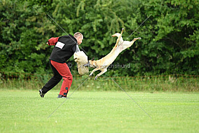 Whats Up von der Steinteichmühle