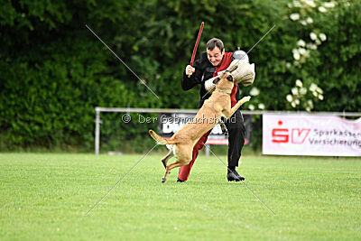 Whats Up von der Steinteichmühle