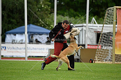 Whats Up von der Steinteichmühle