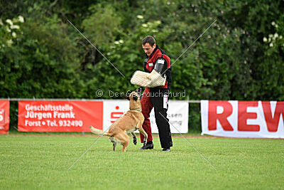 Whats Up von der Steinteichmühle