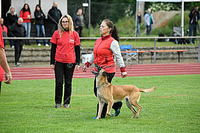 Whats Up von der Steinteichmühle