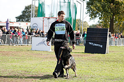 Whisky vom Cap Arkona