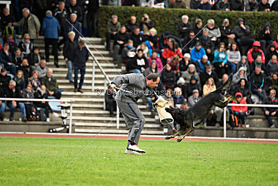 Whisky vom Cap Arkona