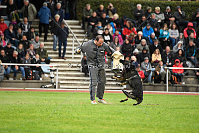 Whisky vom Cap Arkona