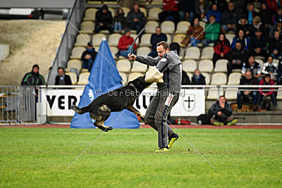 Whisky vom Cap Arkona