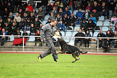 Whisky vom Cap Arkona