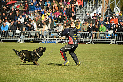 Wicko vom Waisagrund