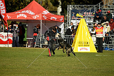 Wicko vom Waisagrund