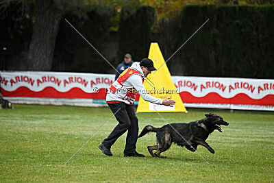 Wicko vom Waisagrund