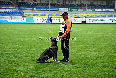 Wicky van Hamersslag