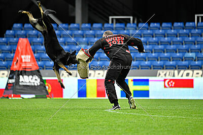 Wilckens Aron