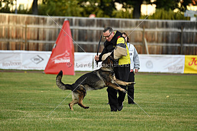Willow vom Salztalblick