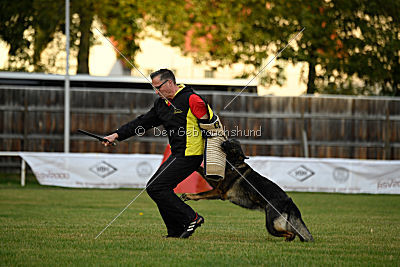 Willow vom Salztalblick