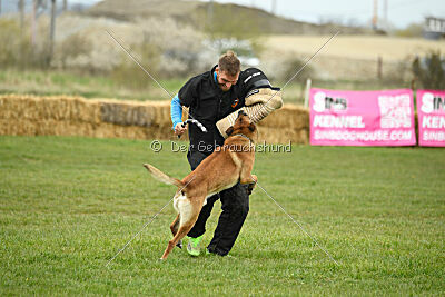 Win vom Further Moor