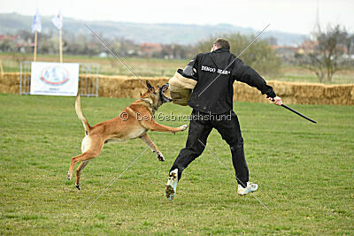 Win vom Further Moor