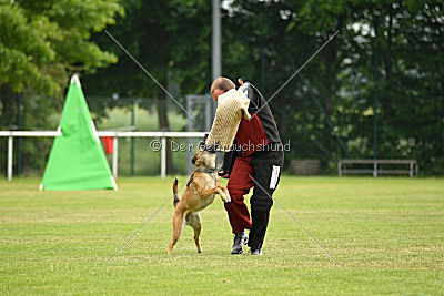 Wisa vom Further Moor