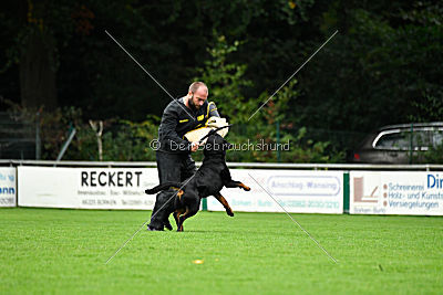 Witiko von Hohenbeilstein