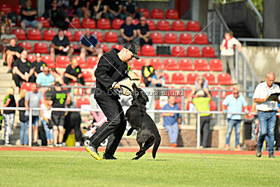 Wonder von der Sigisliebe