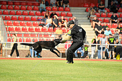 Wonder von der Sigisliebe