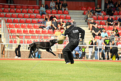 Wonder von der Sigisliebe