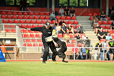 Wonder von der Sigisliebe