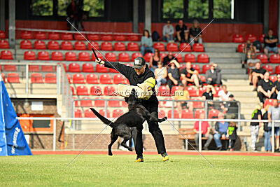 Wonder von der Sigisliebe