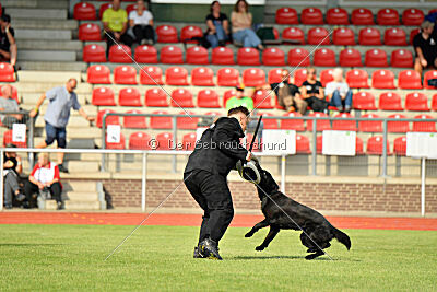 Wonder von der Sigisliebe