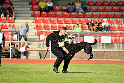 Wonder von der Sigisliebe