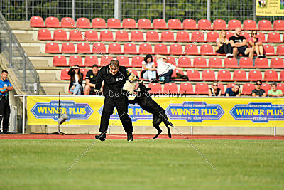 Wonder von der Sigisliebe