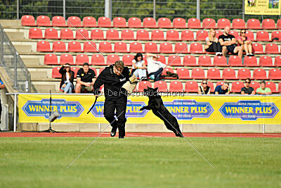 Wonder von der Sigisliebe