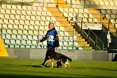 Woody van het Zuidpark