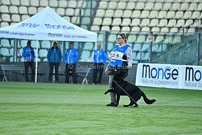 Woody z Ditcina dvora