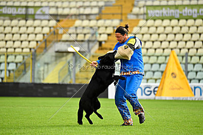 Woody z Ditcina dvora