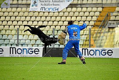 Woody z Ditcina dvora