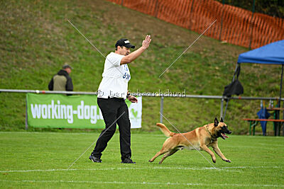 Wox de L'origine de Faucon Rouge