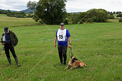 Wox de l'origine de faucon rouge