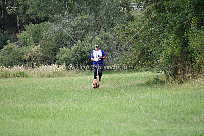 Wox de l'origine de faucon rouge