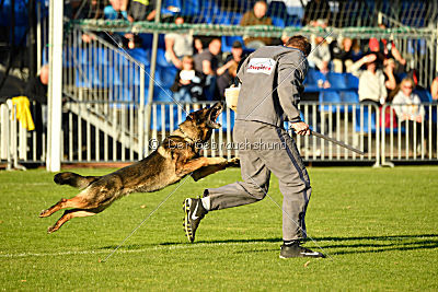 Wuk vom Lehrbacher Schloß