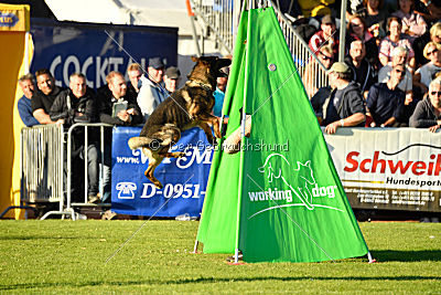 Wuk vom Lehrbacher Schloß